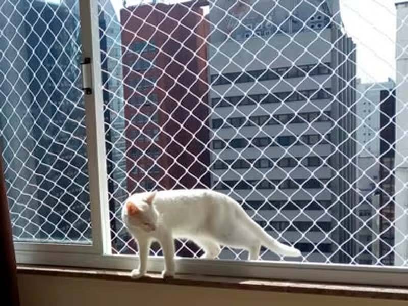 REDES DE PROTEÇÃO PARA GATOS CASTELO