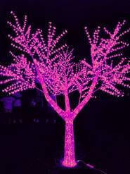 ARVORE CEREJEIRAS 4 METROS - Foto 1