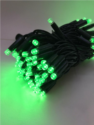 CORDÃO 100 LEDS BLINDADOS - Foto 1