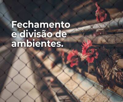 Rede de Proteção para Aves - Avicultura (GRANJA) - Foto 1