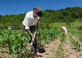 Vínculo Urbano não afasta atividade rural do cônjuge