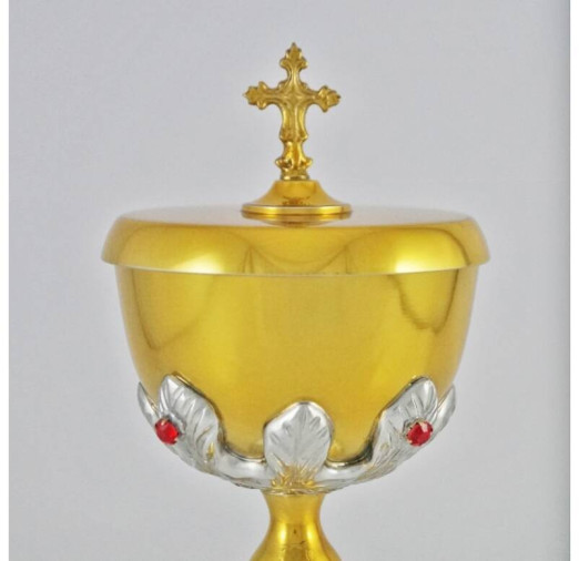 Ambula Capela II - Foto 1