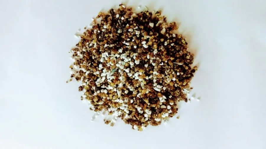 ANGELUS SANTI SANTO ANTÔNIO - Foto 1