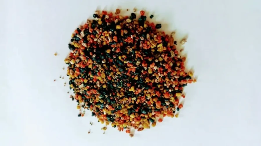 ANGELUS SANTI SÃO BENTO - Foto 1