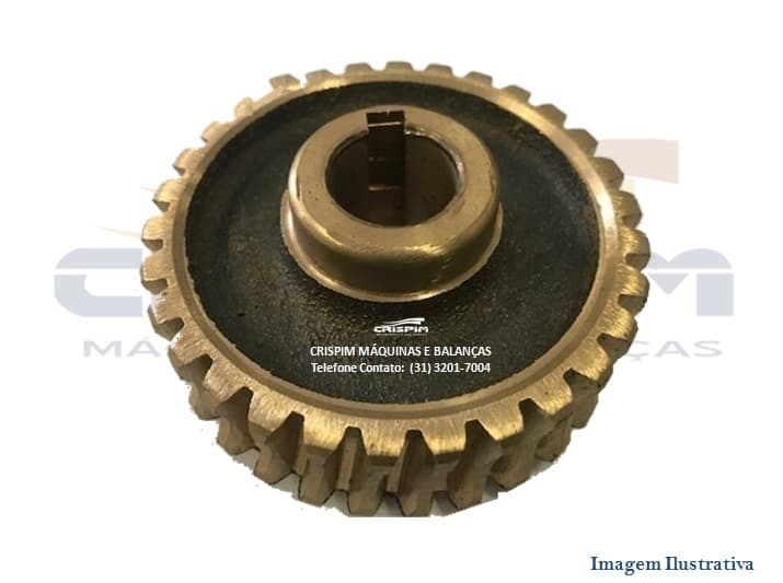 COROA BRONZE MENOR 30D MASSEIRA G.PANIZ - Foto 1