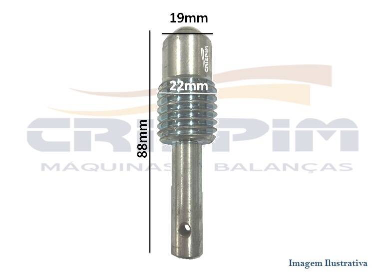 EIXO MASSEIRA G.PANIZ AM-05/ 30/ 31 C/ROSCA FINO - Foto 1