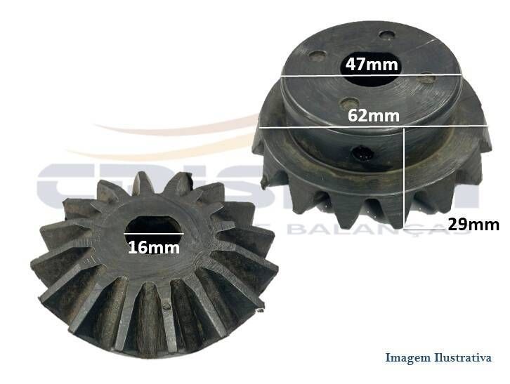 ENG. 16D CILINDRO LEAO - Foto 1