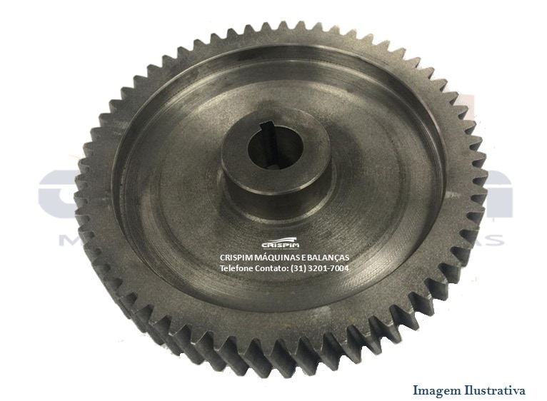 ENG. FERRO 60D CILINDRO LEAO HELICOIDAL - Foto 1