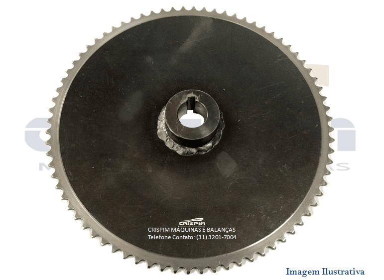 ENG. FERRO 76D CILINDRO G.PANIZ CS-450 - Foto 1