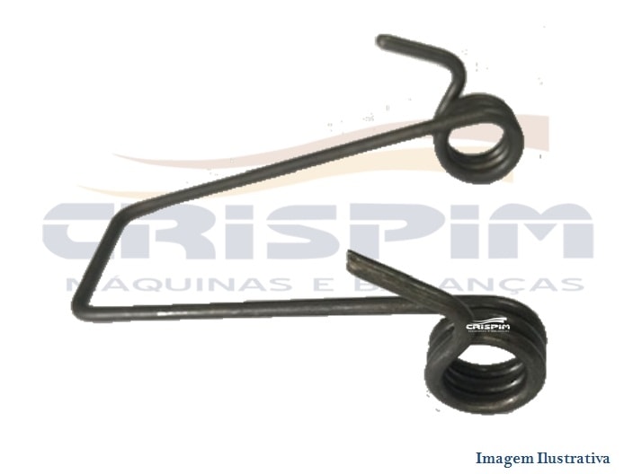 MOLA DO BASCULANTE LIQUID. SIEMSEN 15/25 LTS - Foto 1