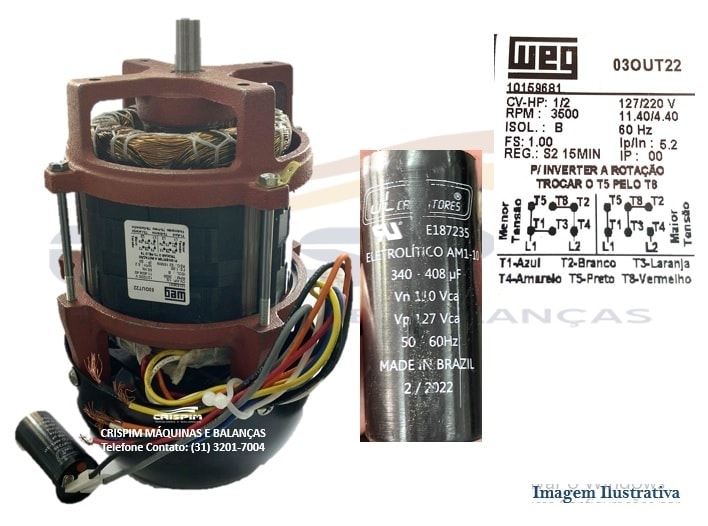 MOTOR 1/2CV 60HZ 127/220V LIQUIDIFICADOR SIEMSEN L - Foto 1
