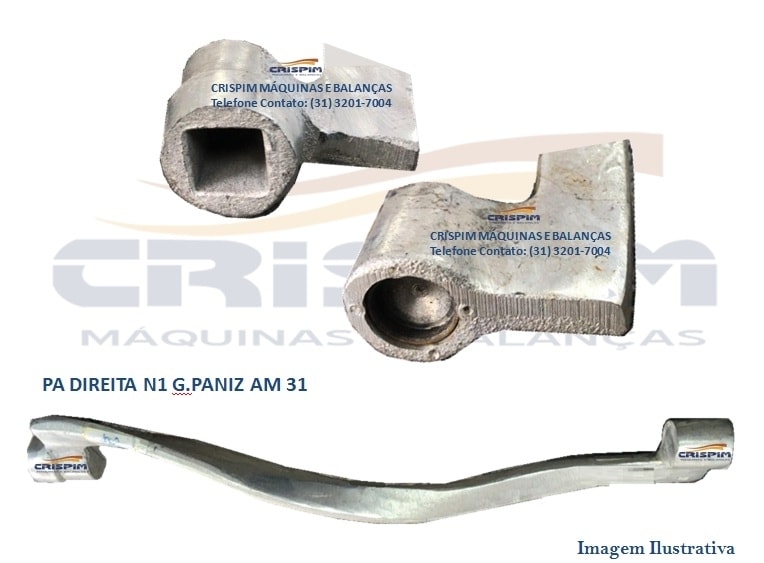 PA MASSEIRA G.PANIZ N2 AM 31 DIREITA - Foto 1