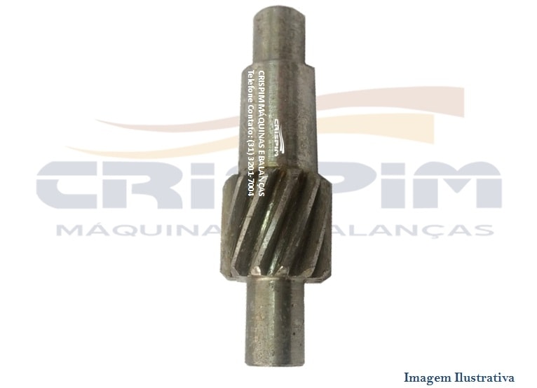 PINHAO INTERMEDIARIO B-10 13D PASIANI - Foto 1