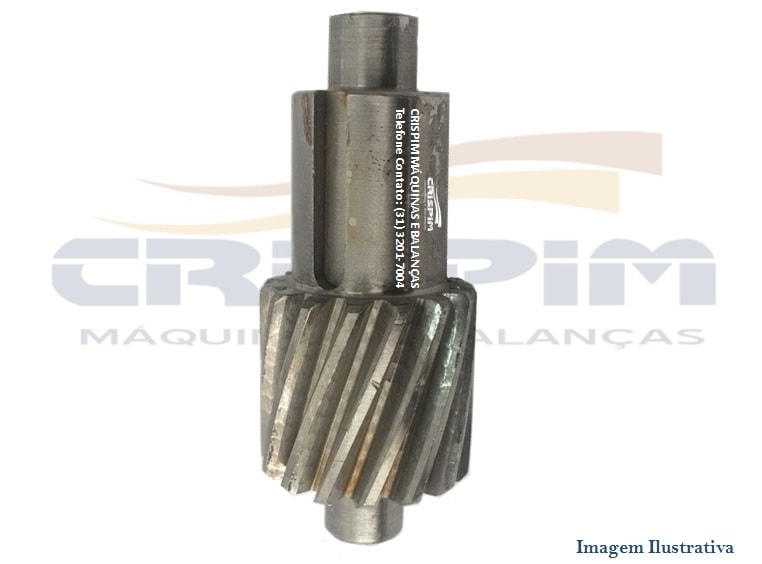 PINHAO INTERMEDIARIO B-22 15D FILIZOLA MODERNO - Foto 1