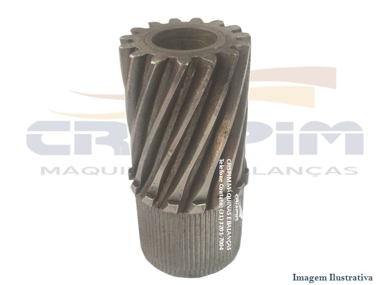 PINHAO INTERMEDIARIO B-22 15D MALPA GRANDE - Foto 1