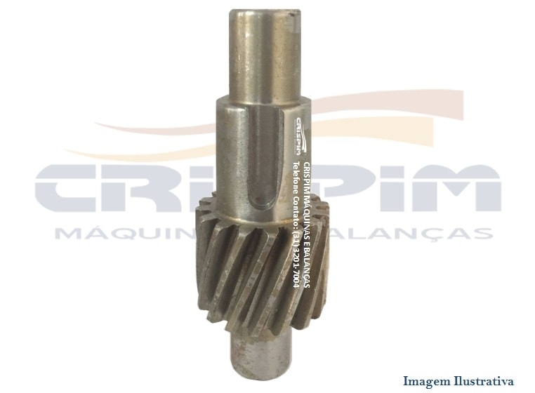 PINHAO INTERMEDIARIO B-22 16D PASIANI - Foto 1