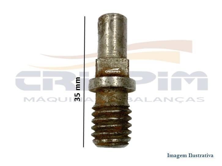 PINO DO CARACOL B-05 - Foto 1