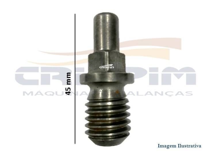 PINO DO CARACOL B-08/09 CAF - Foto 1