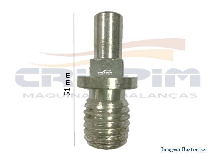 PINO DO CARACOL B-22 FINO - Foto 1