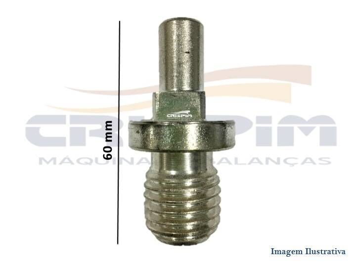 PINO DO CARACOL B-32 - Foto 1