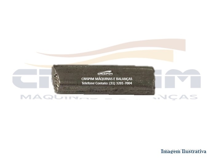 PINO DO PORTA COXIM BALANÇA WELMY 300KG - Foto 1