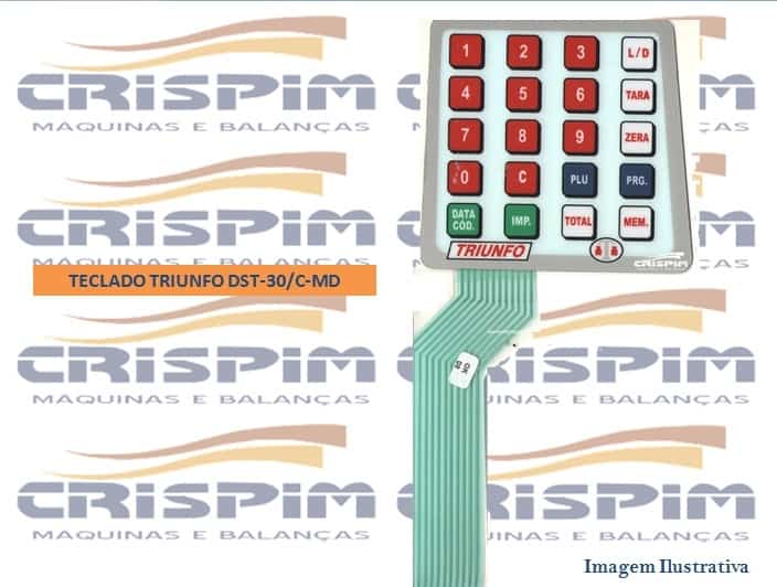 TECLADO TRIUNFO DST-30/C-MD - Foto 1