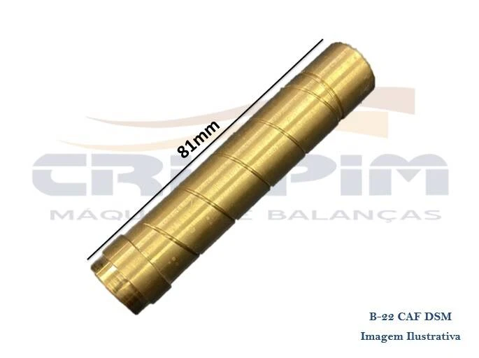 EIXO EXCENTRICO B-22 CAF DSM 8CM - Foto 1