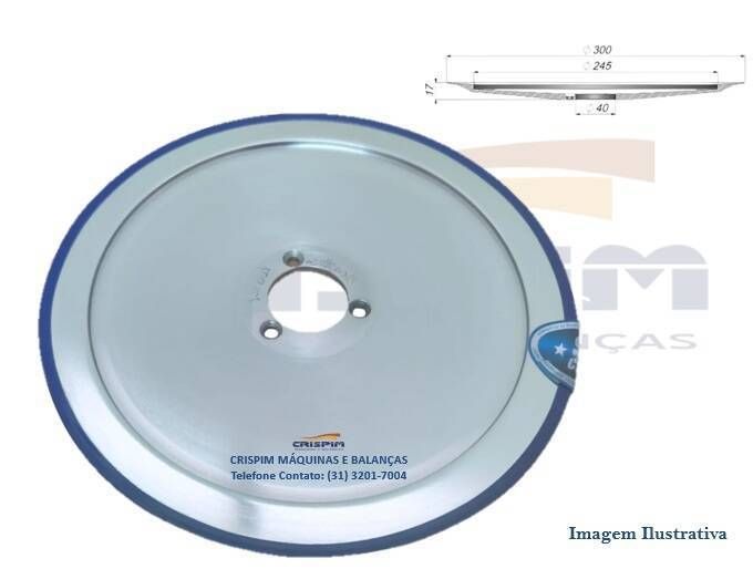 LAMINA CORTA-FRIOS PALLADIUM 300MM - Foto 1