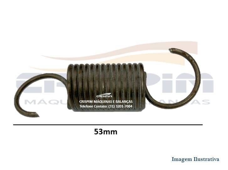 MOLA RASPADOR CILINDRO G.PANIZ CL-300 - Foto 1
