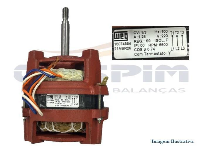 MOTOR 1/3CV 2 POLOS 100HZ COD. FORNO PRATICA EXPRE - Foto 1