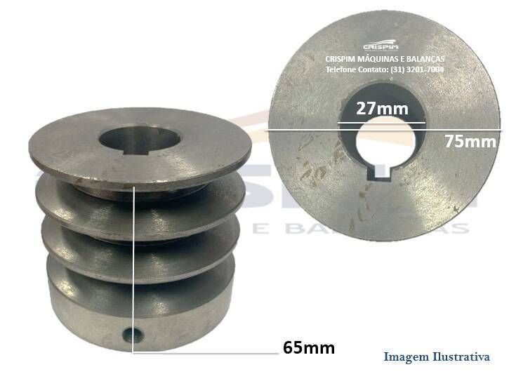 POLIA MOTOR MASSEIRA G.PANIZ AE-40/60 75MM - Foto 1