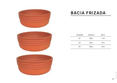 Bacia Frizada - Foto 1