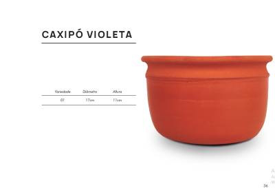 Caxipó Violeta - Foto 1