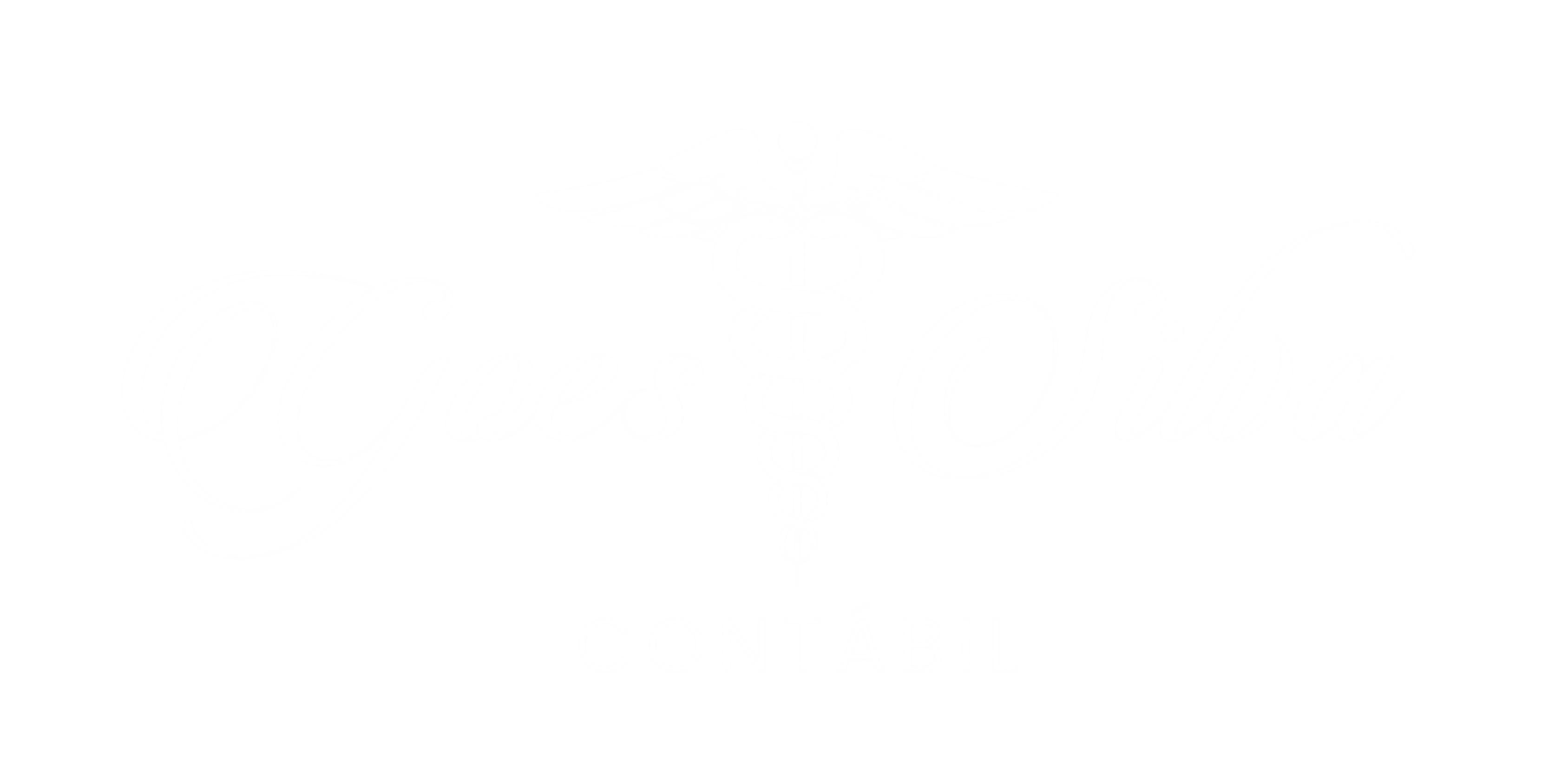 Goes e Silva contábil