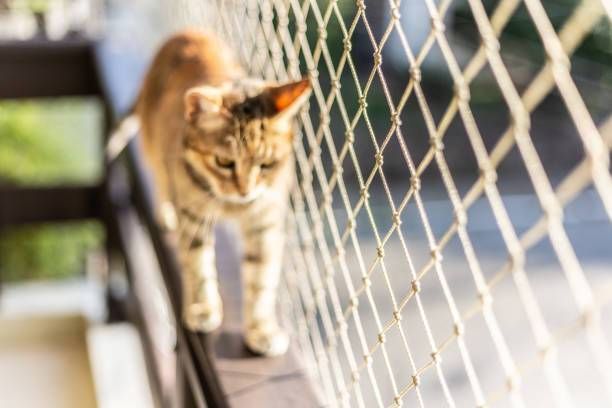 Redes de Proteção para Gatos em BH - Foto 12
