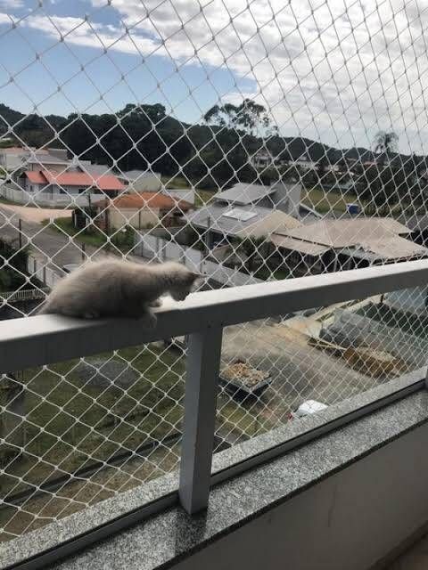 Redes de Proteção para Gatos em BH - Foto 13
