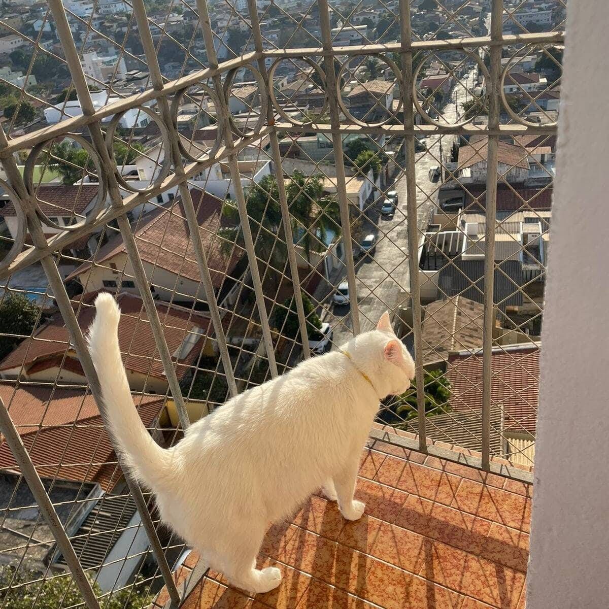 REDES PARA JANELAS DE APARTAMENTOS BH - Foto 7