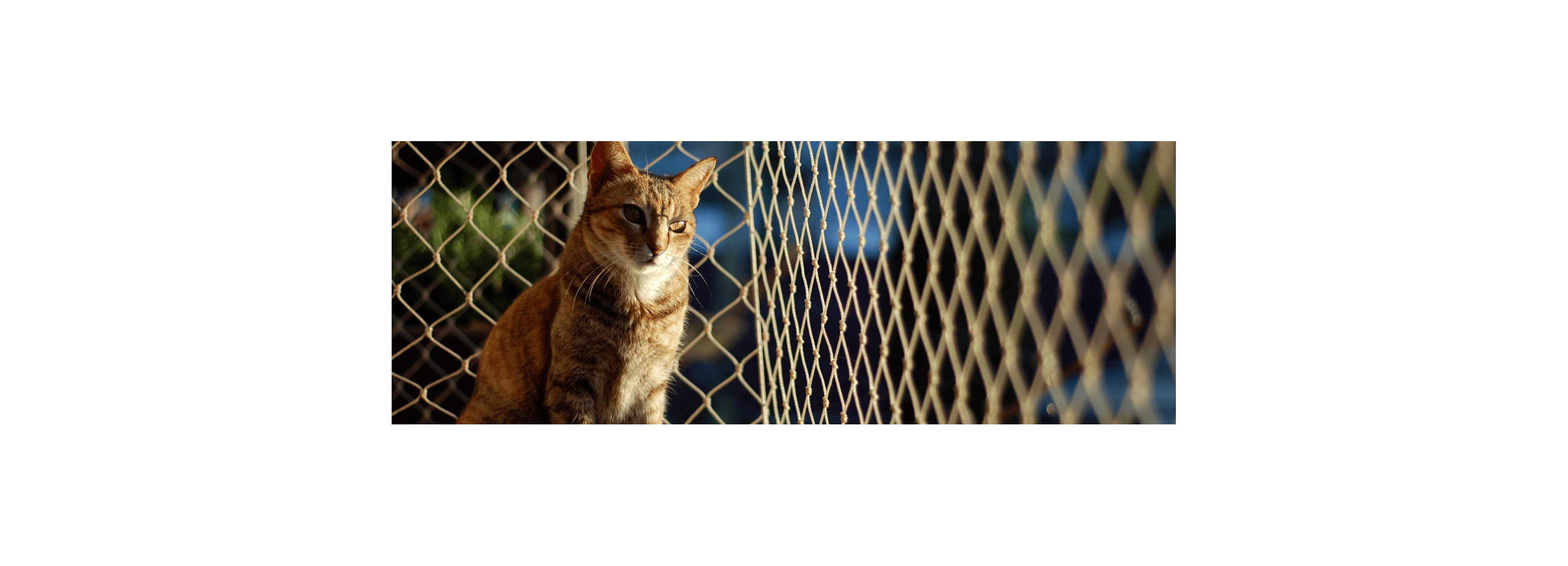 Imagem do Slide Home