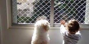 REDES PARA JANELAS DE APARTAMENTOS BH - Foto 5