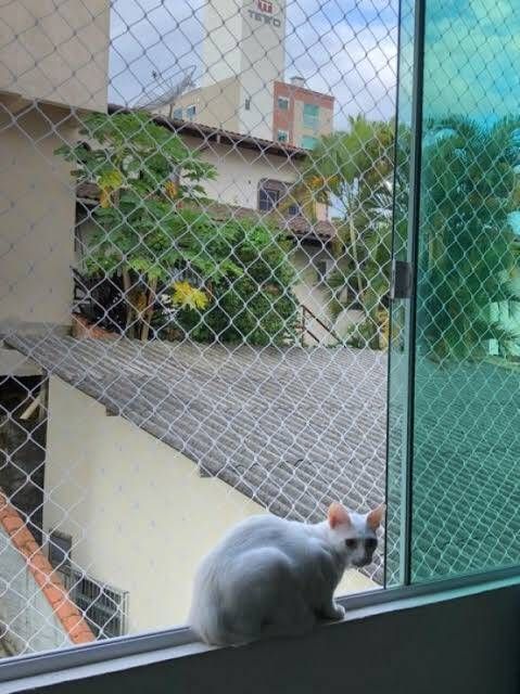 Redes de Proteção para Janelas Caiçara - Foto 1