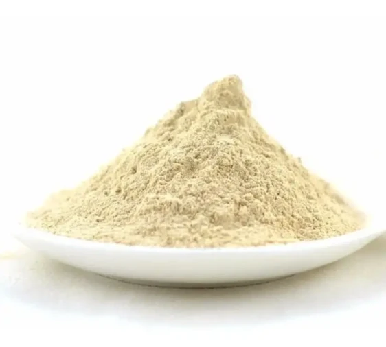 CEBOLA DESIDRATADA EM PÓ - Foto 1