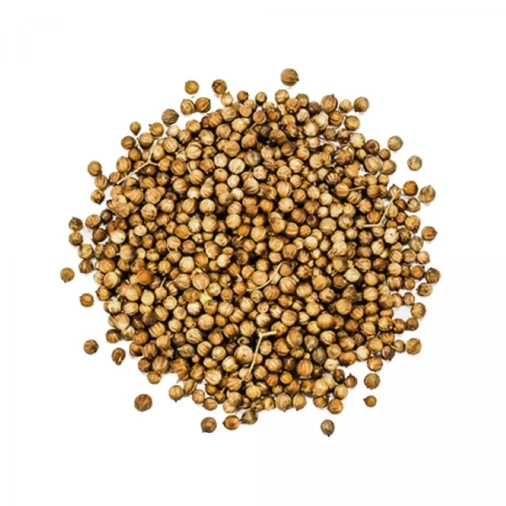 COENTRO EM GRÃO - Foto 1