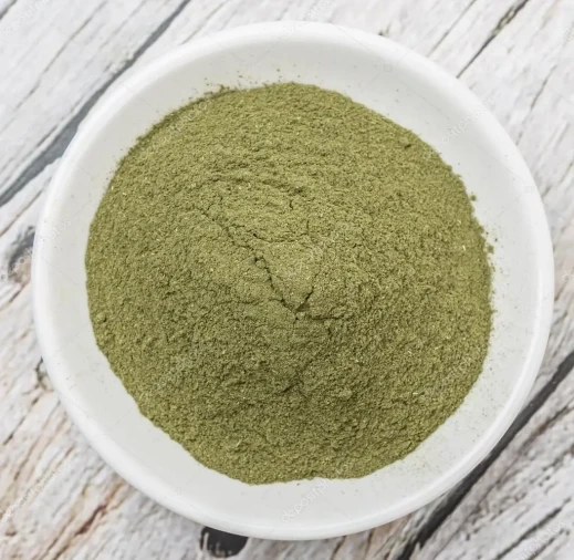 HORTELÃ EM PÓ - Foto 1