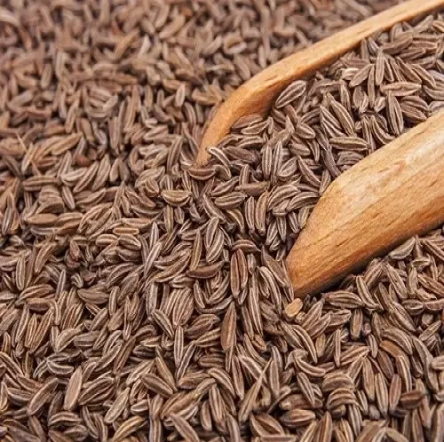 KUMMEL SEMENTE - Foto 1