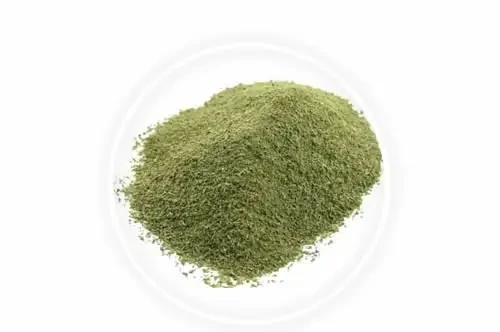 MANJERICÃO EM PÓ - Foto 1