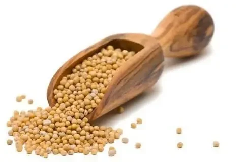 MOSTARDA EM GRÃOS - Foto 1