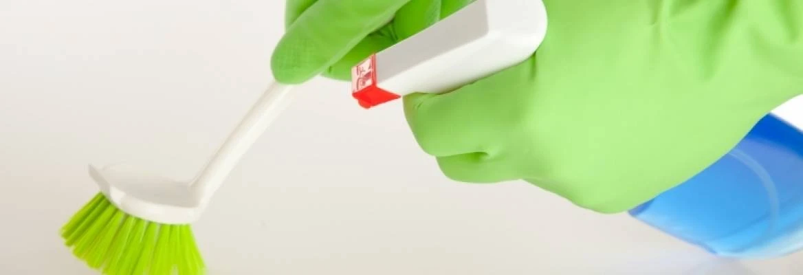 Imagem do Slide Home