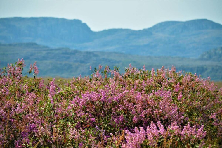 REVÉILLON STO. DO ITAMBÉ - 29 á 31/12 - ESGOTADO - Foto 1