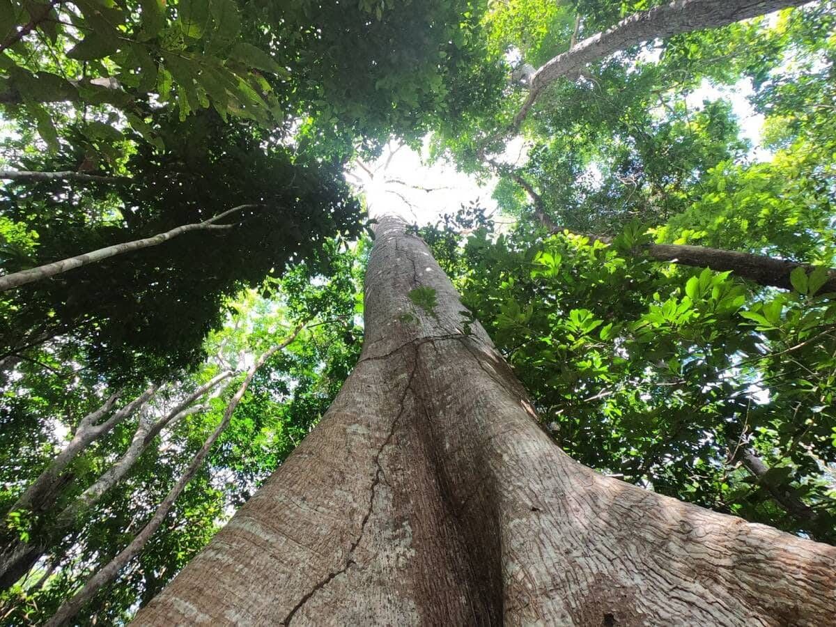 ALTER DO CHÃO - 05 à 11/09 - Foto 4