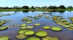 ALTER DO CHÃO - 05 à 11/09 - Foto 6